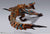 S.H. MonsterArts Tigrex "Monster Hunter Rise" Action Figure
