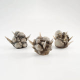 **Pre Order**Explosion Gray Ver. for S.H.Figuarts , TAMASHII NATIONS Tamashii Effect