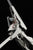 Max Factory Figma Knights of Sidonia Tsugumori Action Figure - Toyz in the Box