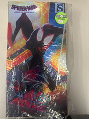 **Pre Order**Hot Toys 1/6 Scale MMS 710 Spider-Man Across The Spider-verse Miles Morales Special Edition Action Figure