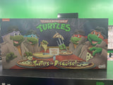 NECA Teenage Mutant Ninja Turtles Turtles in Disguise! Action Figure 4 pack