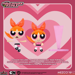 Mezco 5 Point The Powerpuff Girls Blossom Figure