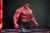 **Pre Order**Hot Toys 1/6 Scale Red Hulk Action Figure