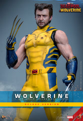 **Pre Order**Hot Toys 1/6 Scale Wolverine (Deluxe Version) Action Figure