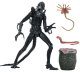 NECA Aliens 40th Anniversary Ultimate Xenomorph Warrior Action Figure