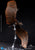 Hiya Toys Godzilla King of the Monsters Exq Basic Rodan Flameborn PX Action Figure