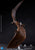 Hiya Toys Godzilla King of the Monsters Exq Basic Rodan Flameborn PX Action Figure