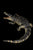 Namnu Studio Crocodylus porosus 170004 Lord of Blood Action Figure