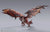 S.H. MonsterArts Rathalos -20th Anniversary Edition- "Monster Hunter Series" Action Figure