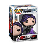 **Pre Order**Funko Pop DC Titans Raven 1513 Vinyl Figure