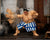 Jada Toys Ultra Street Fighter II E. Honda Deluxe Action Figure