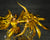 Figuarts Zero Touche Metallique SAGITTARIUS SEIYA "SAINT SEIYA" Statue