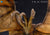 Hiya Toys Godzilla King of the Monsters King Ghidorah 2.0 Exquisite Basic Action Figure
