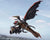 **Pre Order**S.H. MonsterArts Megaguirus Evolution Set "Godzilla" Action Figure