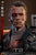 **Pre Order**Hot Toys 1/6 Scale T-800 (Battle Damaged Version 2.0) Action Figure