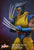 Hono Studio 1/6 Scale Wolverine (Unmasked) Action Figure