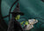 **Pre Order**S.H. Figuarts Elphaba "Wicked" Action Figure