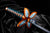 **Pre Order**Bandai Proplica NICHIRIN SWORD (SHINOBU KOCHO) "Demon Slayer: Kimetsu no Yaiba"
