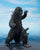 **Pre Order**S.H. MonsterArts Godzilla [1975] "Godzilla" Action Figure