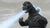 **Pre Order**S.H. MonsterArts Godzilla [1975] "Godzilla" Action Figure