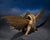 **Pre Order**S.H. MonsterArts King Ghidorah [1972] "Godzilla" Action Figure