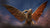 **Pre Order**S.H. MonsterArts King Ghidorah [1972] "Godzilla" Action Figure