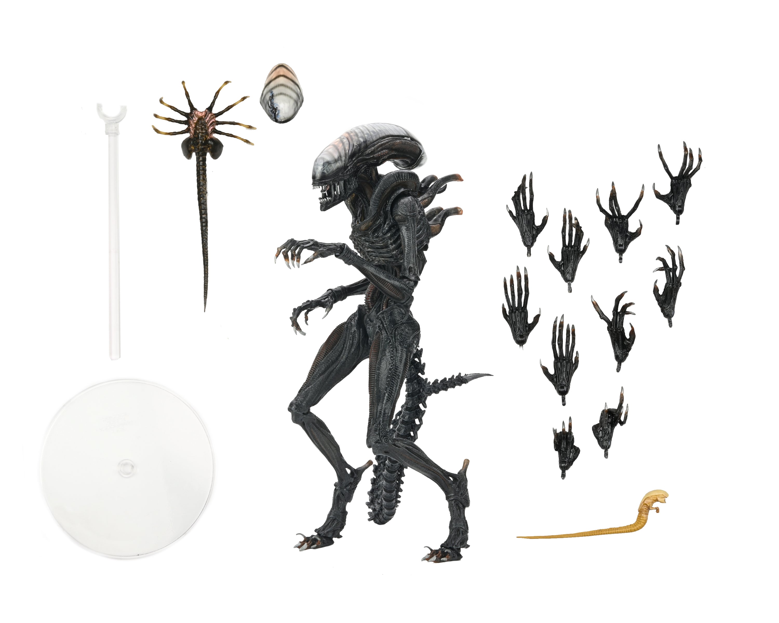 NECA Romulus Ultimate Scorched Alien Xenomorph (Pre order
