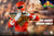 Threezero Mighty Morphin Power Rangers Dragon Shield Red Ranger 1:6 PX Exclusive Action Figure