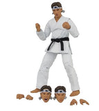 Icon Heroes Karate Kid Daniel Larusso Action Figure