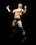 S.H. Figuarts WWE Triple H Action Figure - Toyz in the Box